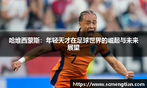 tyc33455cc太阳成集团